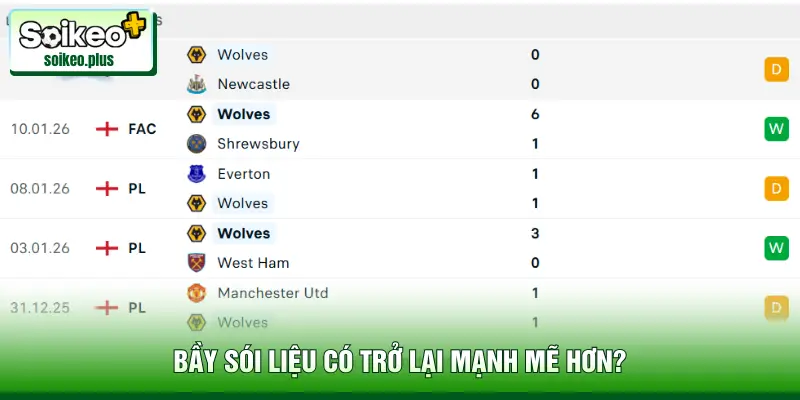 Bầy Sói liệu có trở lại mạnh mẽ hơn?