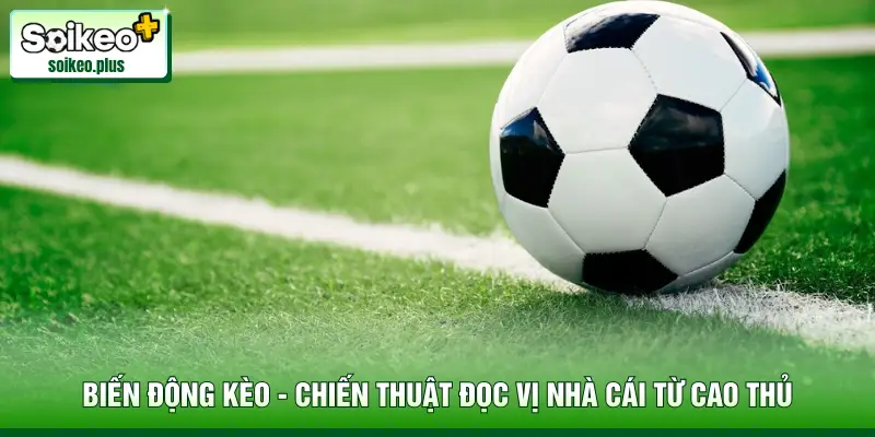 Biến Động Kèo - Chiến Thuật Đọc Vị Nhà Cái Từ Cao Thủ