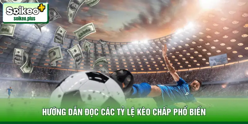 Hướng dẫn đọc các tỷ lệ kèo chấp phổ biến