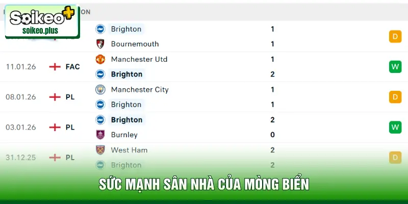 Sức mạnh sân nhà của Mòng Biển