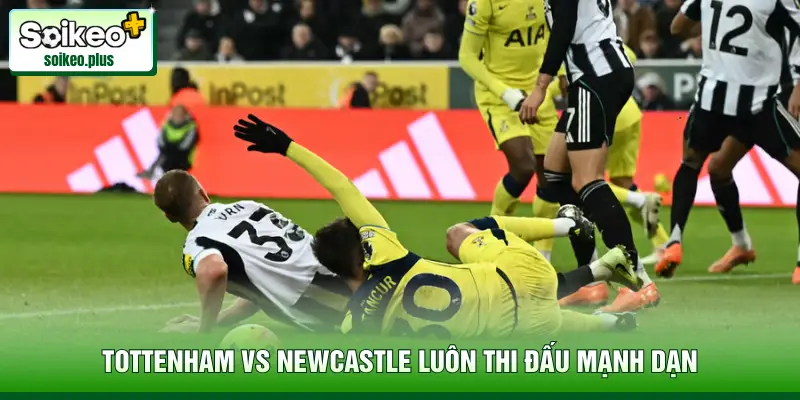 Tottenham vs Newcastle luôn thi đấu mạnh dạn